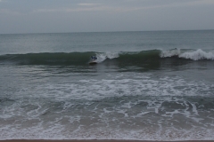 OLYMPUS DIGITAL CAMERA OLYMPUS DIGITAL CAMERA