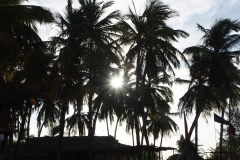 OLYMPUS DIGITAL CAMERA OLYMPUS DIGITAL CAMERA