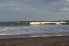 OLYMPUS DIGITAL CAMERA OLYMPUS DIGITAL CAMERA