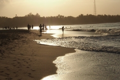 OLYMPUS DIGITAL CAMERA OLYMPUS DIGITAL CAMERA