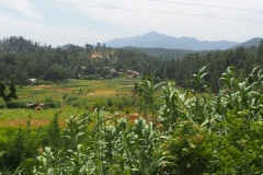 OLYMPUS DIGITAL CAMERA OLYMPUS DIGITAL CAMERA