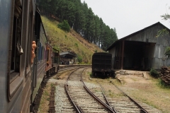 OLYMPUS DIGITAL CAMERA OLYMPUS DIGITAL CAMERA