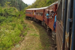 OLYMPUS DIGITAL CAMERA OLYMPUS DIGITAL CAMERA