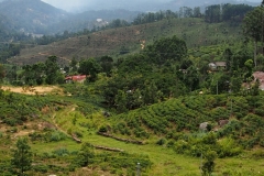 OLYMPUS DIGITAL CAMERA OLYMPUS DIGITAL CAMERA