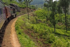 OLYMPUS DIGITAL CAMERA OLYMPUS DIGITAL CAMERA