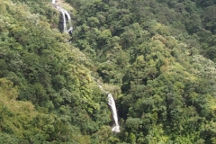 OLYMPUS DIGITAL CAMERA OLYMPUS DIGITAL CAMERA