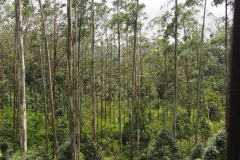 OLYMPUS DIGITAL CAMERA OLYMPUS DIGITAL CAMERA