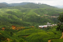 OLYMPUS DIGITAL CAMERA OLYMPUS DIGITAL CAMERA