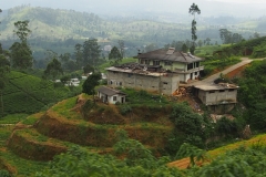 OLYMPUS DIGITAL CAMERA OLYMPUS DIGITAL CAMERA