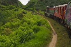 OLYMPUS DIGITAL CAMERA OLYMPUS DIGITAL CAMERA