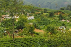 OLYMPUS DIGITAL CAMERA OLYMPUS DIGITAL CAMERA