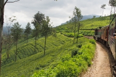 OLYMPUS DIGITAL CAMERA OLYMPUS DIGITAL CAMERA