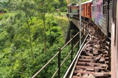 OLYMPUS DIGITAL CAMERA OLYMPUS DIGITAL CAMERA