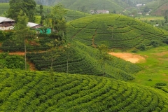 OLYMPUS DIGITAL CAMERA OLYMPUS DIGITAL CAMERA