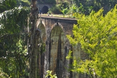 OLYMPUS DIGITAL CAMERA OLYMPUS DIGITAL CAMERA