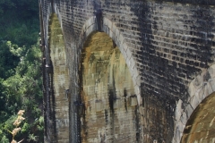 OLYMPUS DIGITAL CAMERA OLYMPUS DIGITAL CAMERA