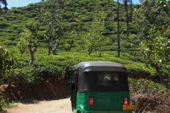 OLYMPUS DIGITAL CAMERA OLYMPUS DIGITAL CAMERA