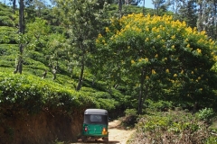 OLYMPUS DIGITAL CAMERA OLYMPUS DIGITAL CAMERA