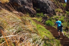 OLYMPUS DIGITAL CAMERA OLYMPUS DIGITAL CAMERA