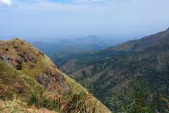 OLYMPUS DIGITAL CAMERA OLYMPUS DIGITAL CAMERA