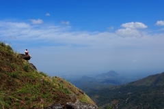 OLYMPUS DIGITAL CAMERA OLYMPUS DIGITAL CAMERA