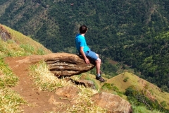 OLYMPUS DIGITAL CAMERA OLYMPUS DIGITAL CAMERA